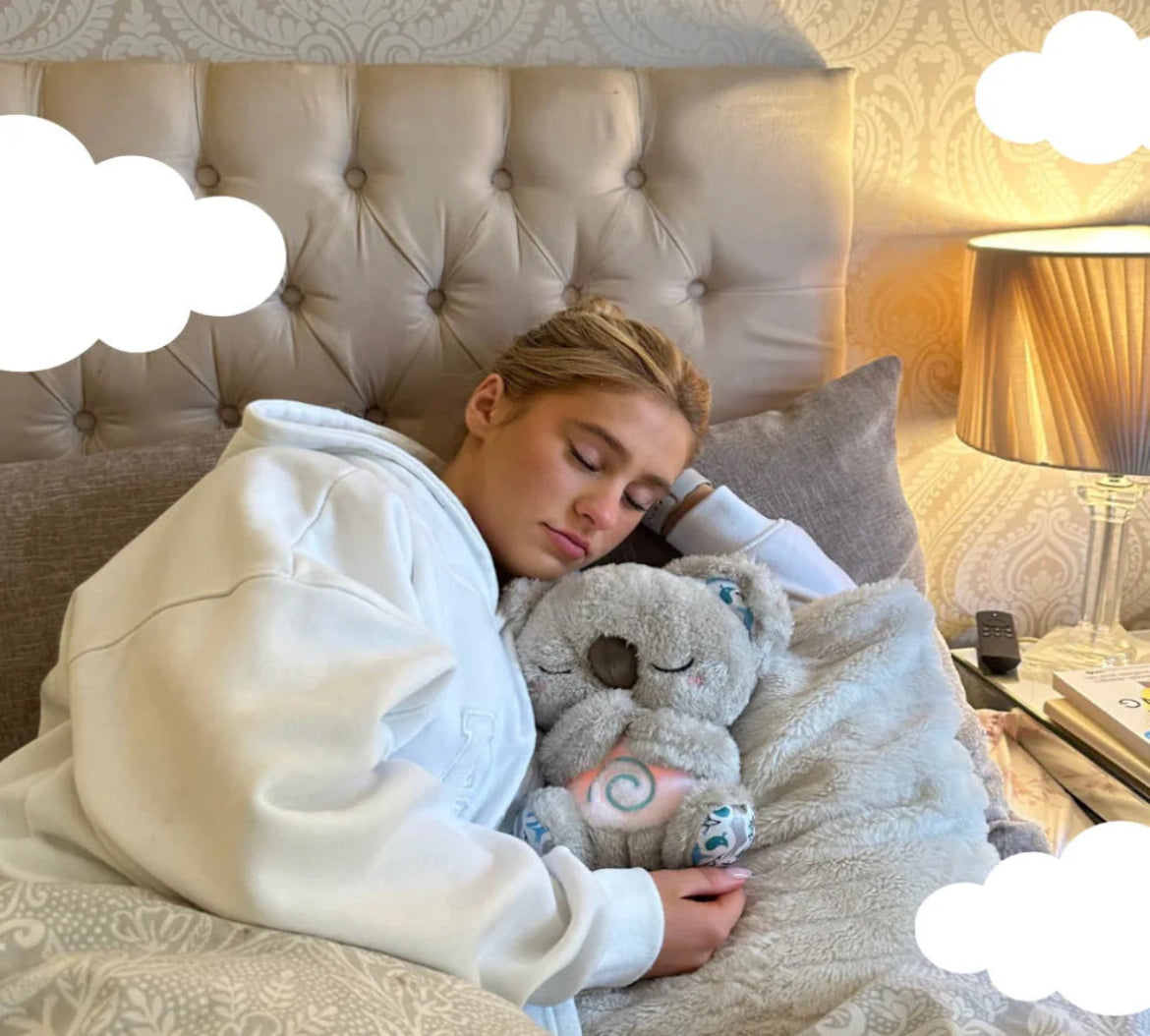 Koala Calmy