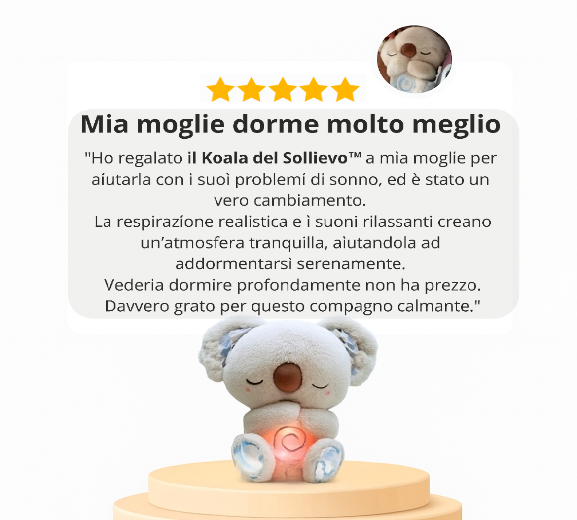 Koala Calmy